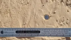 Amostra de Areia Prime